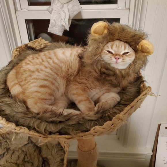 RE-clectic Boutique - Picture 4 of 4